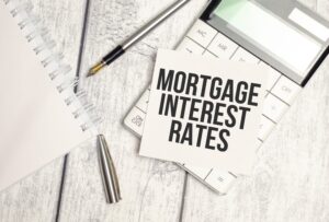 Propriétaire de deux logements meublés comparant des offres de comptabilité sur son ordinateur.